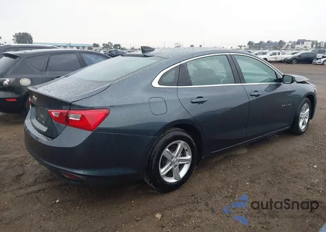 2019 Chevrolet Malibu 1Ls z USA, uszkodzony, nr VIN 1G1ZB5ST8KF204205